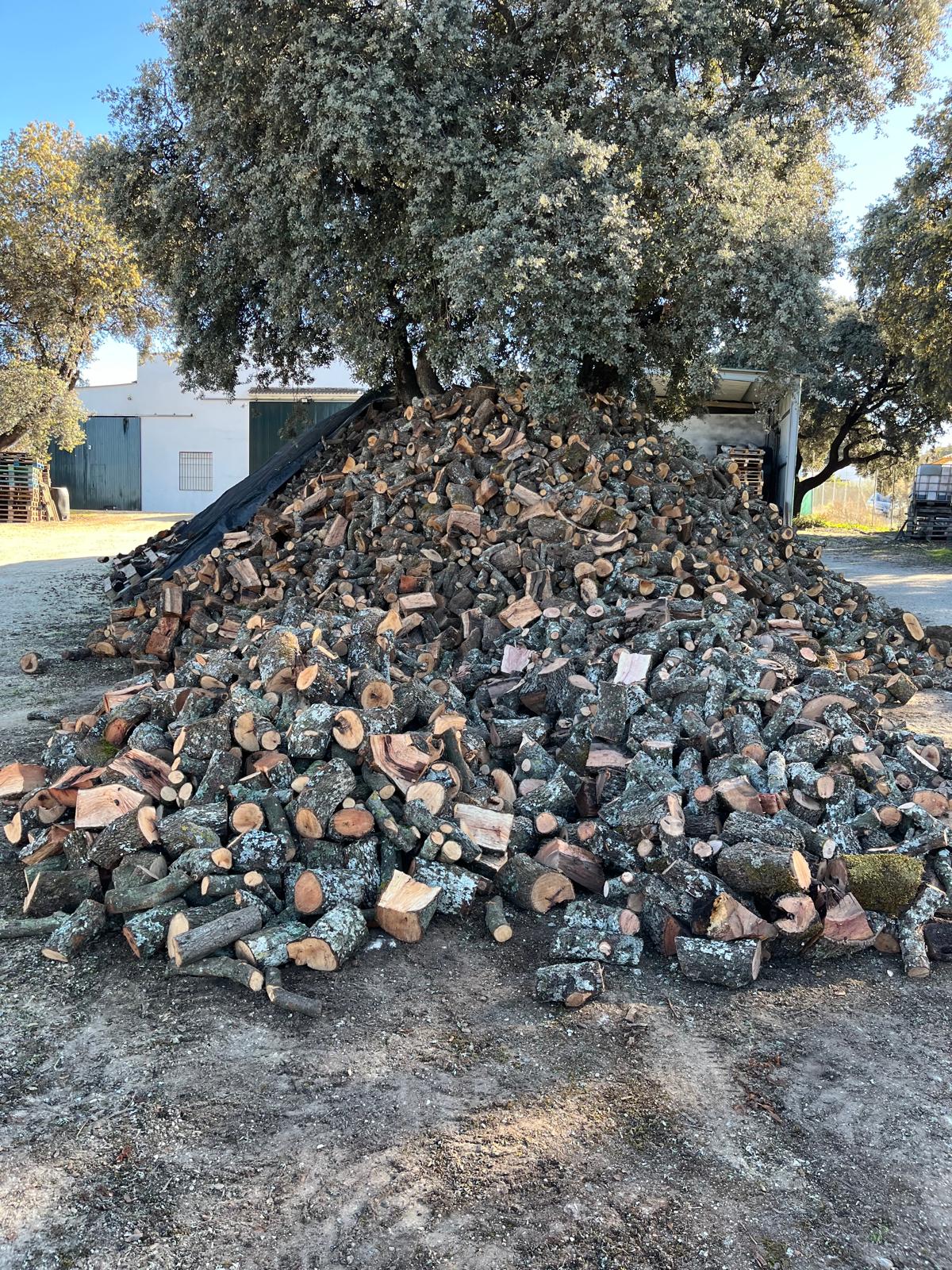 Leña de encina
